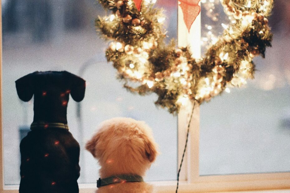 The Fragile Heart’s Guide To Surviving the Holidays | Cup of Jo