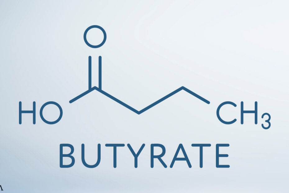 The Gut-Brain Axis Connector That Influences Mood and Cognition