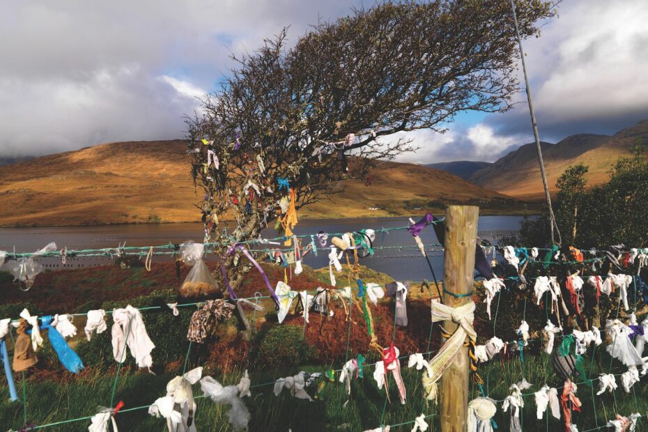 Rags decorating a fairy tree, the hawthorn.