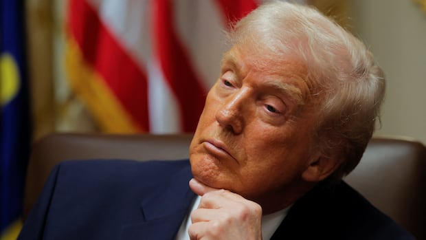 Trump called Somalis 'garbage,' amid slew of other insults. What prompted the U.S. president's invective? | CBC News