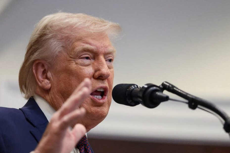 Trump set to expand immigration crackdown in 2026 despite brewing backlash