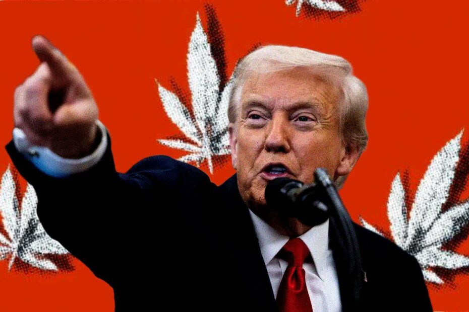 Trump's plan to reclassify marijuana would leave federal prohibition essentially untouched