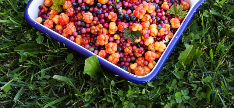 Unique Canadian Culinary Experiences - Simple Bites