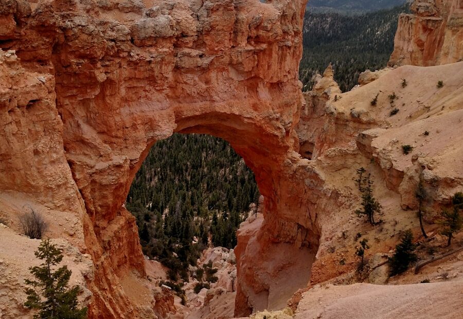 Utah’s Red Rock Stage: Photoshoot Ideas that Glow Beyond the Feed - Top World Travels