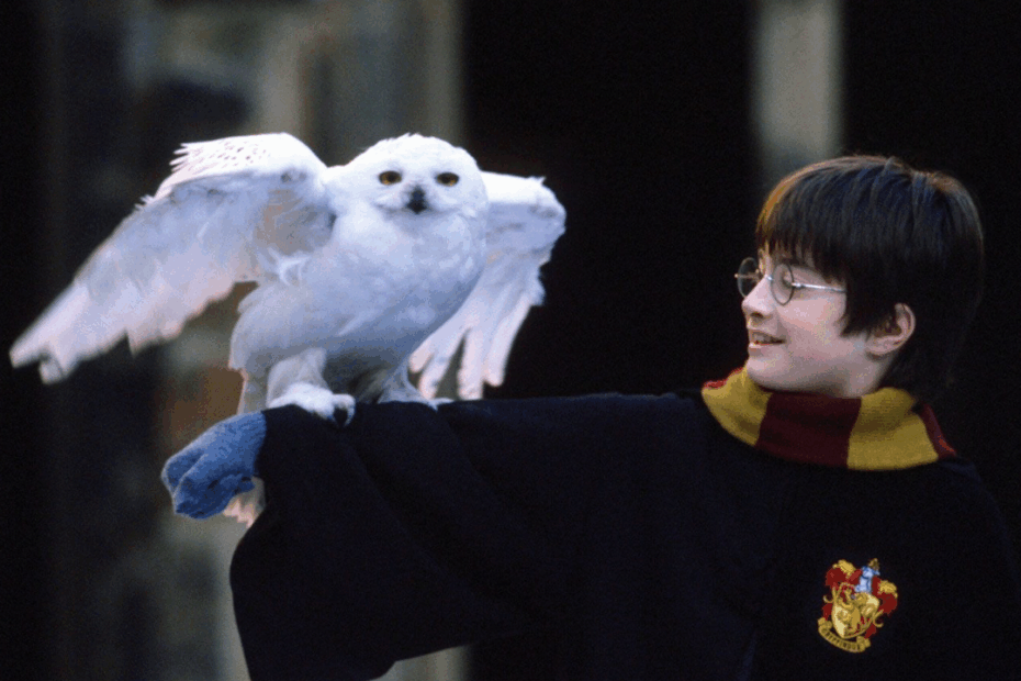 Harry-Potter-Christmas-movies-style-rave