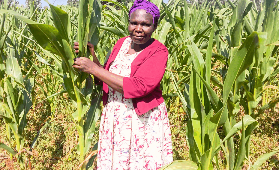 Why crop loss hits women farmers hardest