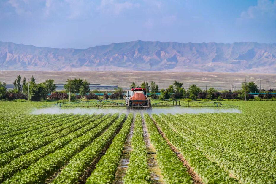 Why has Xinjiang become the 'western granary'