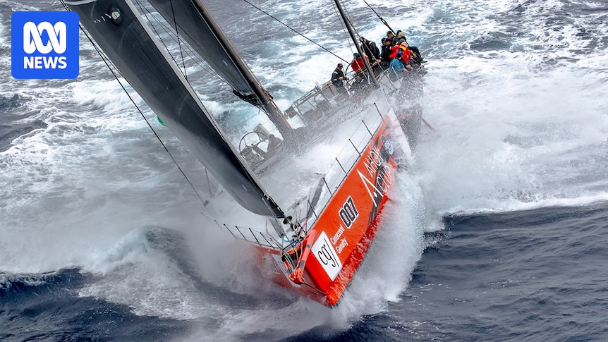 'You're levitating': Sailors tell of 'horrendous' ordeal in yacht race