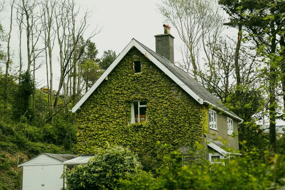 a quaint holiday let rental home in the uk covered in ivy