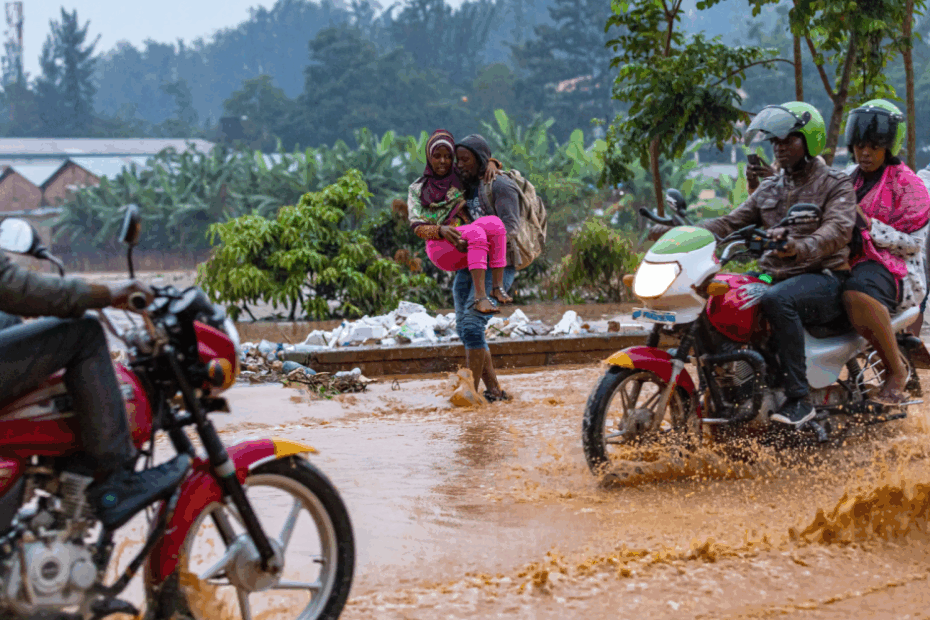 A flood-plagued African city sets out to reengineer its wetlands