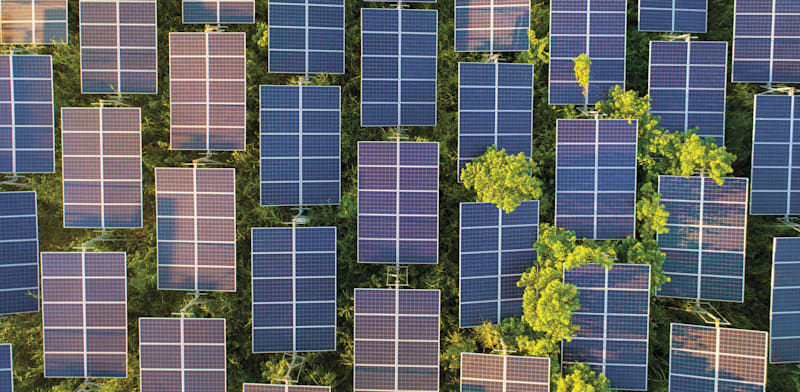 Solar energy panels credit: Shutterstock
