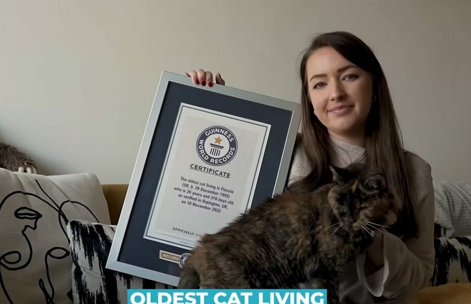 Five Things That Didn't Suck In 2025