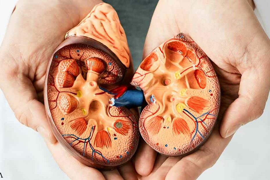 Global Study Reveals Alarming Rise in Kidney Health Challenges