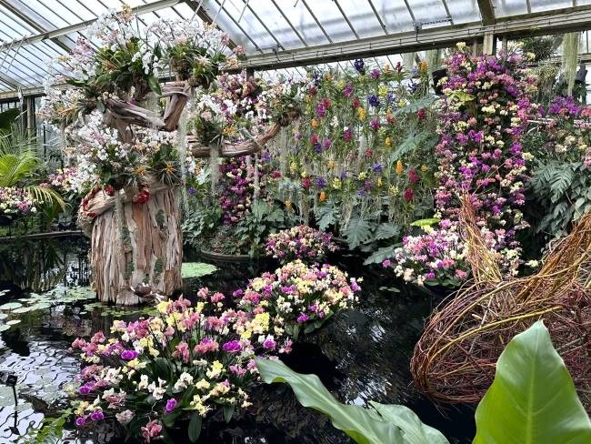 Kew Gardens Orchid Festival 2026