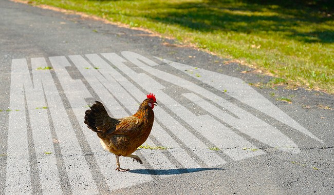 Monday Morning Meme Madness