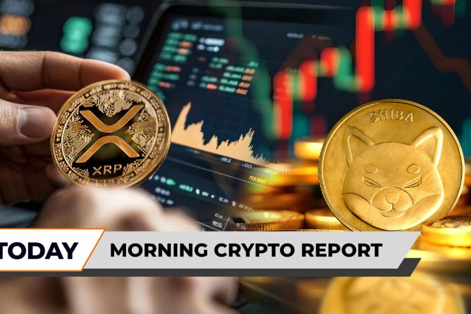 Morning Crypto Report: Ex-Ripple CTO Reveals Unknown XRP Story From 2013, Shiba Inu (SHIB) Rockets 30% in $12 Billion Meme Coin Comeback, Legendary Trader Suddenly Becomes Bitcoin Cash Bull - U.Today