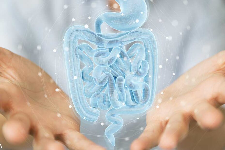 The Importance of Butyrate for Digestive Health