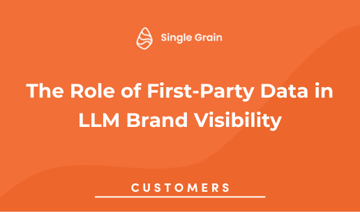 The Role of First-Party Data in LLM Brand Visibility