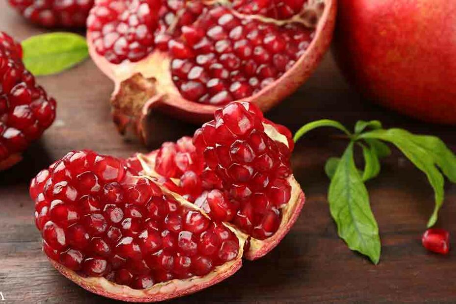 What Research Suggests About Urolithin A and Cellular Energy