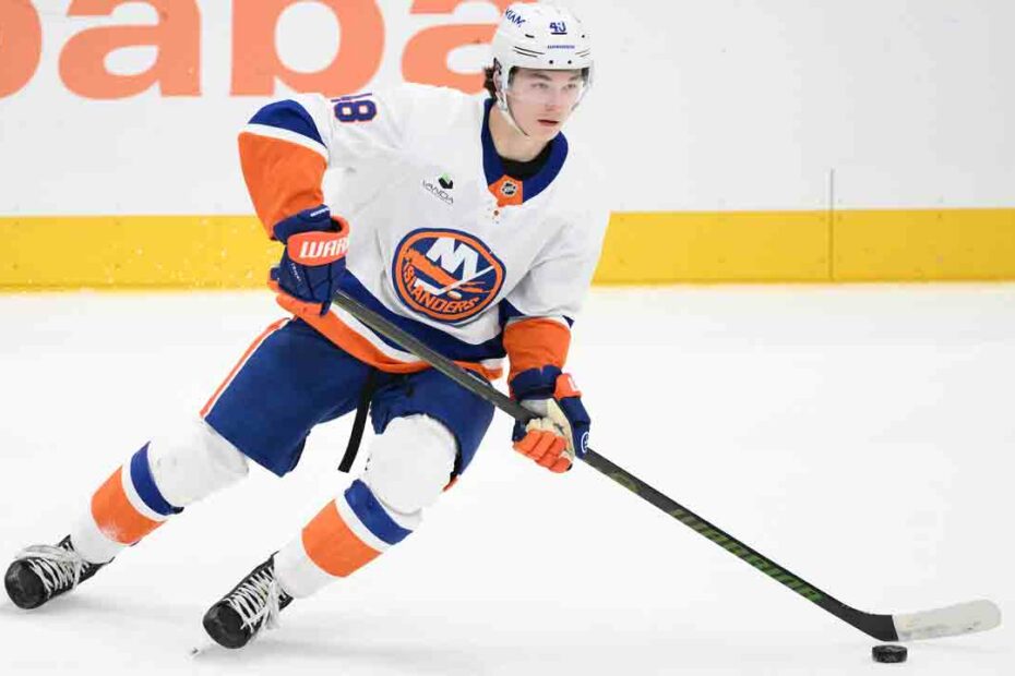 Who have been the best NHL rookies through the first half?